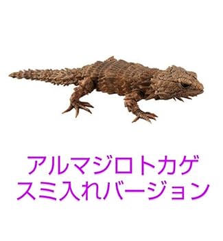 Amazon.co.jp: バンダイ いきもの大図鑑 だんごむし07